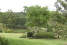 Darbys Fallsresidential-landscaping-40.jpg; ?>